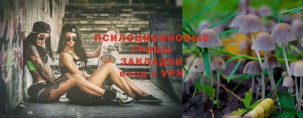 каннабис Бородино
